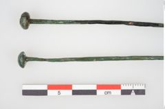Foto von Kugelkopfnadel (NHMW-PRAE-026219)